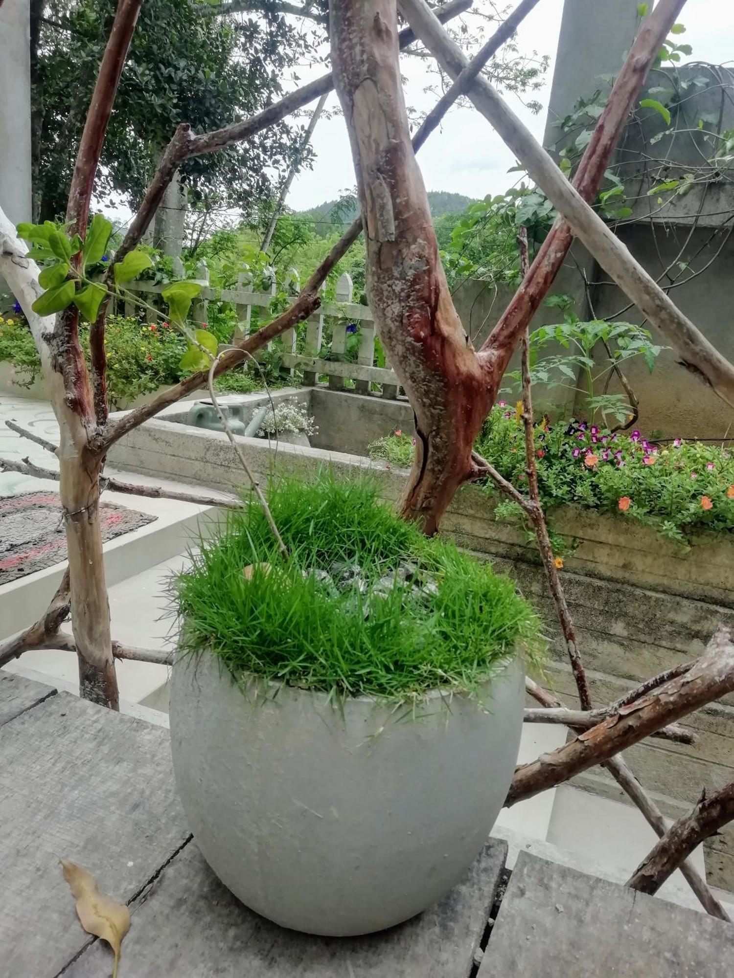 Ella C&D Paradise Hotel Luaran gambar